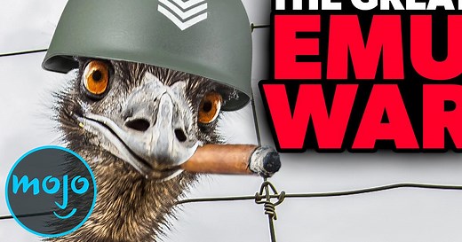 Top 10 Weirdest Historical Events That Actually Happened | Articles on WatchMojo.com