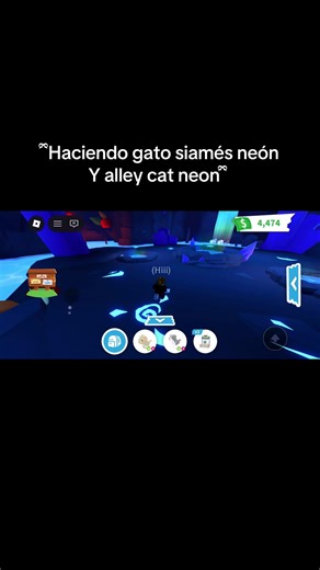#adoptme #gatosiames #gatocallejero #robloxfyp