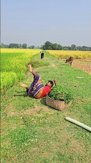"Crazy Farm Prank! 😂 Farmer Gets Totally Fooled by Mischievous Boy"