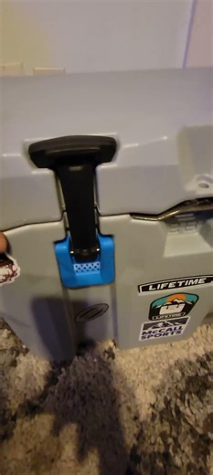 How Great Is This Lifetime 28qt Ice Chest?