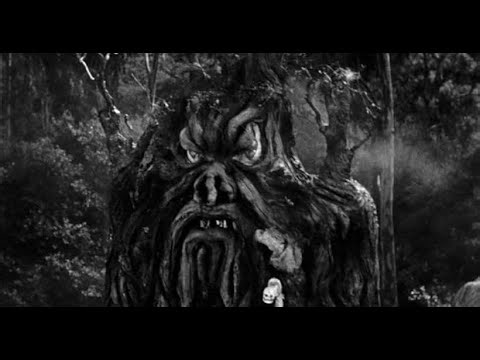 From Hell It Came (Cinema Attraction - 1957)