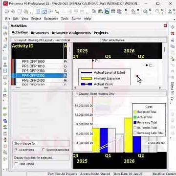 PRIMAVERA P6: NON-LABOR RESOURCES & ACTUALS NOT VISIBLE? | ACTIVITY USAGE PROFILE ISSUE
