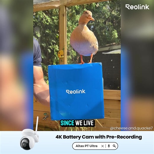  Reolink Early Prime Offers – Up to 42% Off ✅ Whether you need ultra-clear 16MP footage, cutting-edge dual-lens panoramic view, or easy wireless setup, Reolink’s got you covered. ⏳ Time’s running out — shop directly at reolink.com now! | Reolink | Facebook