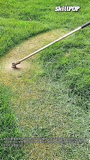무성한 잔디를 깔끔하게 다듬는 예초 작업 정원 관리 가이드 #worker #process #grasscutting #gardenmaintenance #yardwork