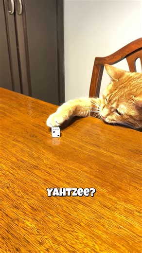 Want to learn how to play Yahtzee? This step-by-step tutorial explains the rules, scoring, and strategies—then shows how you can try the game yourself on Bloob.io. Roll your way to a Yahtzee! 🎲 #howtoplayyahtzee #BrowserGames #bloobio | Bloob.io