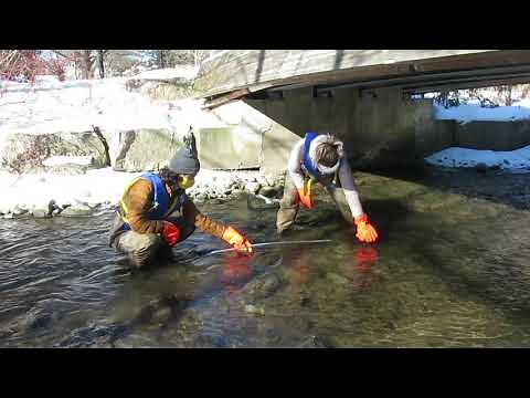 Measuring Stream Velocity Using the Float Ball Method