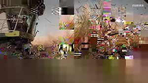 21K views · 55 shares | The world's most successful forager offers unmatched durability and a straight crop flow, perfect for harvesting a tough crop like Miscanthus. | CLAAS | Facebook