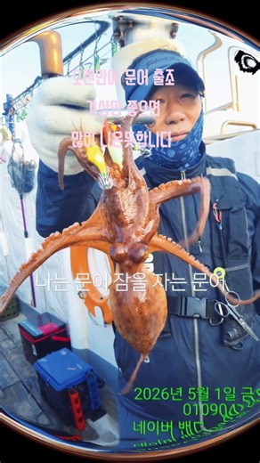 #다잡아물고기낚시 #여수생활낚시 #여수문어낚시#여수낙지낚시 #여수갑오징어 홈페이지 예약\rhttp://dolpung.sunsang24.com