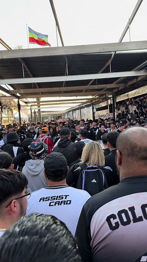 Passionate Fans of Colo Colo Football Club in Chile