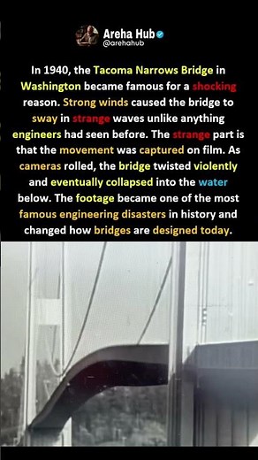 The Bridge That Collapsed In Front of Cameras