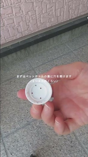 自動水やり機を手作りペットボトルで簡単にできる #家庭菜園 #自動水やり機 #ペットボトル