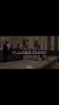 سورة الزخ غت #المصحف #القرآن_الكريم #محمد_اللحيدان