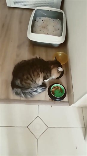 13 января 2026 г.