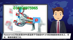 flowserve美国福斯公司API流程泵ERPN 福斯流体控制 福斯水泵