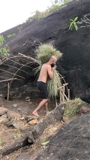 Primitive Camping 🏕️ Shelter 🏔️#Survival #Bushcraft #shortvideo