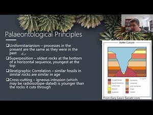 EP#14 Index Fossils And The Geological Time Scale