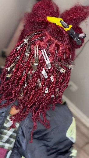 Stylish Starter Locs with Color: A Chicagoloctician's Journey