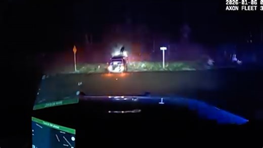 VIDEO: Crash causes dog to fly out of window following high-speed pursuit