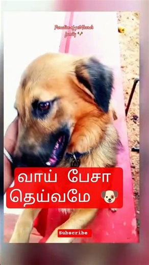 உன் பார்வை போதும் | Un parvai pothum