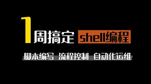 【79 集】2025 Linux Shell 编程精讲：从入门到精通（最新版）