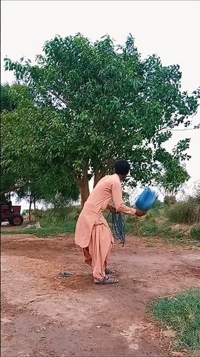 Hunting for sparrow bird