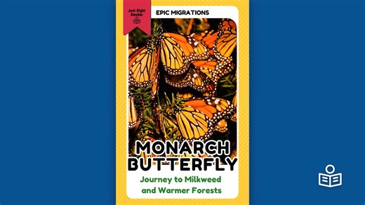 Audio Description - Monarch Butterfly: Journey to Milkweed and Warmer Forests