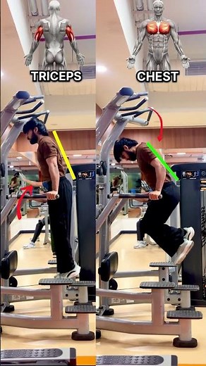 Stop Doing Dips Wrong! Chest vs Triceps Explained