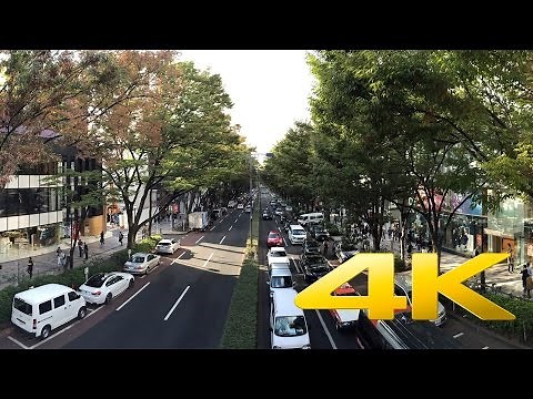 Omotesando Avenue - Tokyo - 表参道 – 4K Ultra HD
