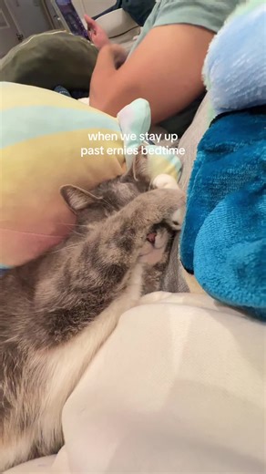 passively telling us to go to sleep