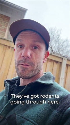 How to Prevent Rodents in Dryer Vents 👀