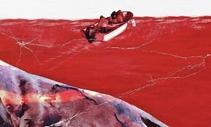 Fin - Where to Watch and Stream Online – Entertainment.ie