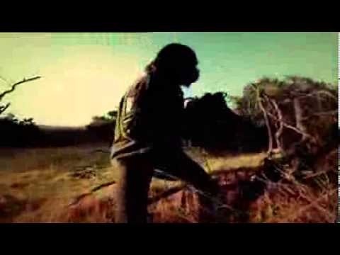 "Planet of the Apes" TV Intro and Ending