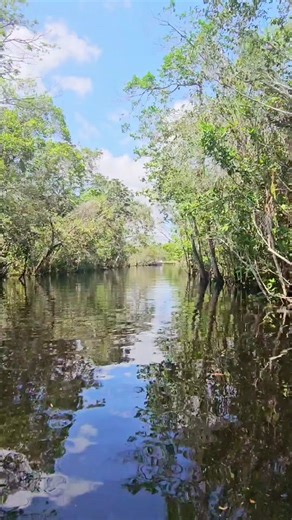 Exploring Moraikobai: Nature and River Adventures in Guyana