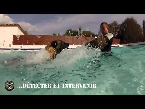 [#Métier] Fusilier / Maître-chien