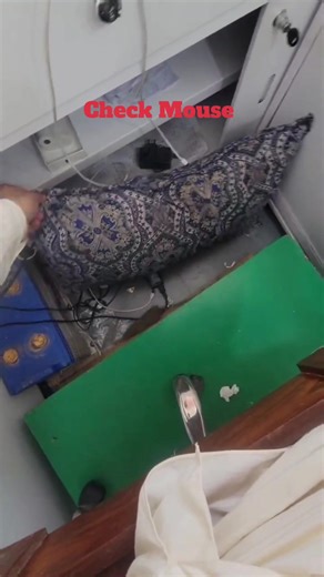 Essential Mouse Care Tips for Longevity and Performance