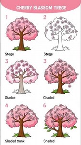 Step by step of a cherry blossoms tree