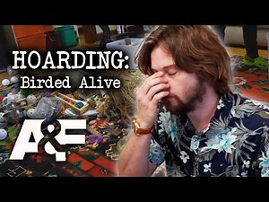 We Have WAY Too Much Bird Stuff