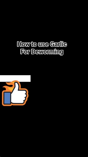 9K views · 122 reactions | How to use Garlic for Deworming pigeons? #pigeonindustry #kalapatidsreels #pigeonracinghobbit #followersreelsfypシ゚viralシfypシ゚viralシalシ | Jay-ar Villarosa | Facebook