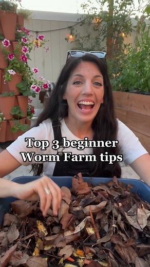 Easy Tips for Starting a Successful Worm Farm