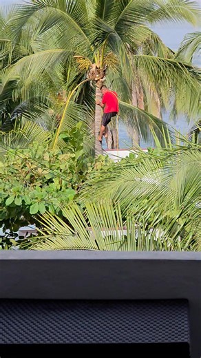 Michael Butler on Reels