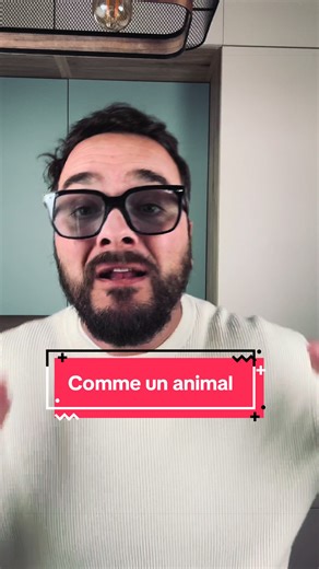 Comme un animal! L'innommable a eu lieu dans le Finistère. Une assistante familiale, censée protéger les enfants, attachait une fillette de 2 ans pieds et poings liés à son sommier. Jet de verres d'eau, enfermement sur le balcon... le calvaire a duré des années. Verdict ? 12 mois de sursis. Elle rentre chez elle libre. Où est la justice pour cette enfant brisée ? L'État place des petits chez des monstres et les tribunaux ferment les yeux. Scandale absolu. #faitsdivers #ase #enfant