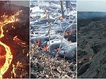 Effects of lava flow captured as it engulfs a forest in Hawaii