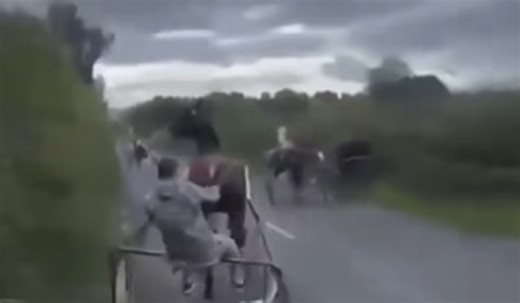 WATCH: Rider thrown in high-speed sulky crash near Clonmel as calls to ban road racing grow