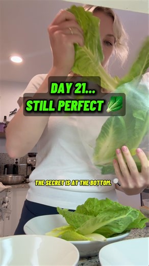 Stop Wasting Money! Costco Romaine Lettuce 21-Day Freshness Secret