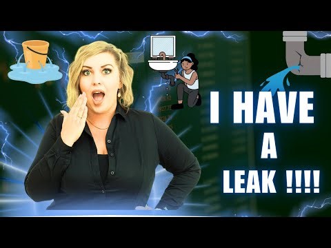 🏡 Roof Leaks & Solar in California | What You Need to Know