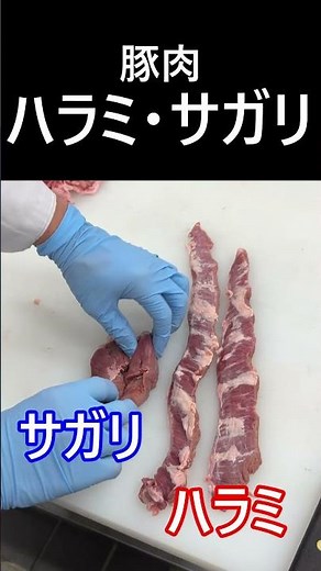 豚ハラミとサガリの焼肉 #料理 #グルメ #焼肉