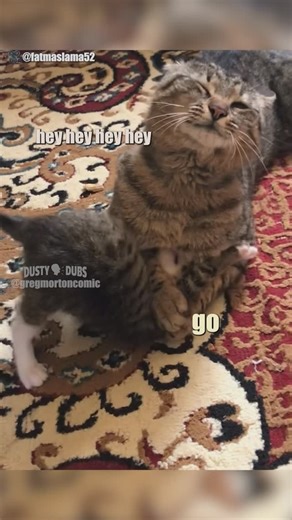 Dusty Dubs on Instagram: "😸 Kitten Discipline feat @gregmortoncomic 🗣️ / 🎥: @fatma.slema__ #cat #cats #kitten #chokehold #discipline #parenting #voiceover #voiceovers #animalvoiceover #animalvoiceovers #comedy #comedyvideos #comedian #entertainment #funny #memes #funnymemes #meme #lol #humor #fun #funnyvideos #lmao #jokes #viral #trending #dadjokes #dustydubs"
