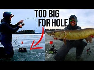 Ice Fishing for BIG WALLEYE, PIKE and MUSKY