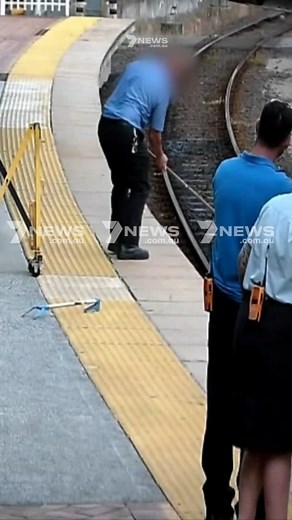 31K views · 89 reactions | A train driver has removed a 2.3m carpet python from tracks at a Brisbane train station. MORE: 7news.link/3AbUemm #7NEWS #snake #animals #queensland | 7NEWS Australia | Facebook