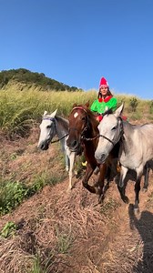 46 reactions · 5 comments | Unlock Your Riding Potential  Want to...